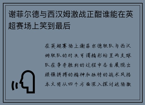 谢菲尔德与西汉姆激战正酣谁能在英超赛场上笑到最后