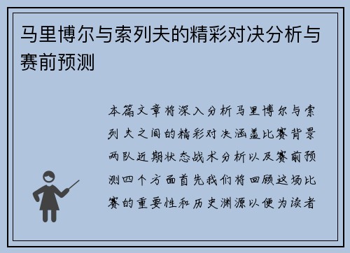 马里博尔与索列夫的精彩对决分析与赛前预测