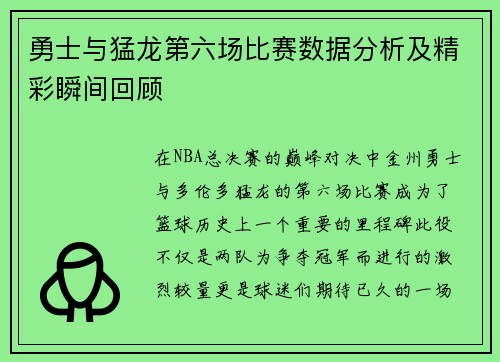 勇士与猛龙第六场比赛数据分析及精彩瞬间回顾