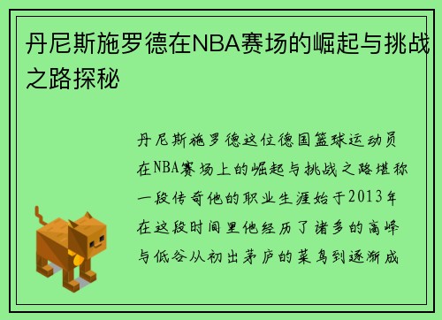 丹尼斯施罗德在NBA赛场的崛起与挑战之路探秘