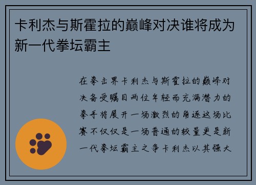 卡利杰与斯霍拉的巅峰对决谁将成为新一代拳坛霸主