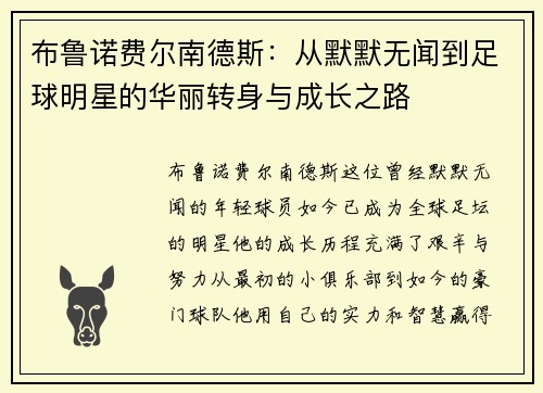 布鲁诺费尔南德斯：从默默无闻到足球明星的华丽转身与成长之路