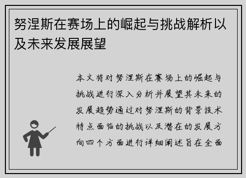 努涅斯在赛场上的崛起与挑战解析以及未来发展展望